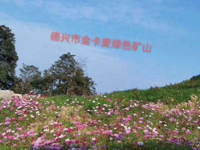 新卡麥礦山